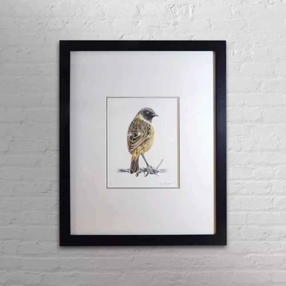 Stonechat Framed Original